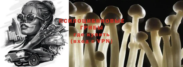 соль ск Володарск