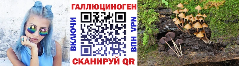 Купить закладки  Апатиты  Галлюциногенные грибы Cubensis 
